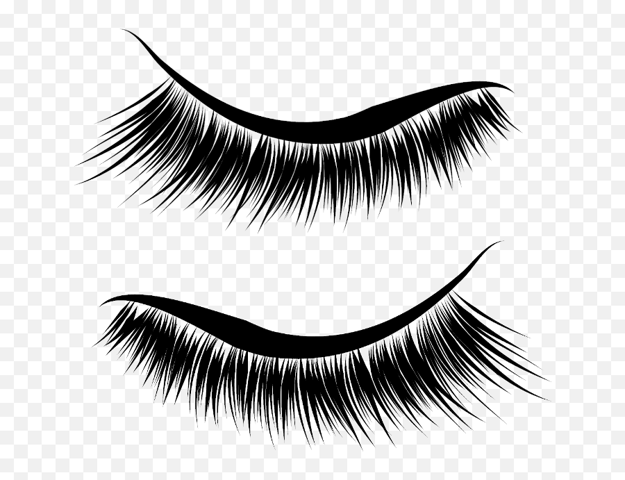 Fake Eyelashes Transparent Image - Transparent Lash Icon Png Emoji,Long Eyelah Emoji