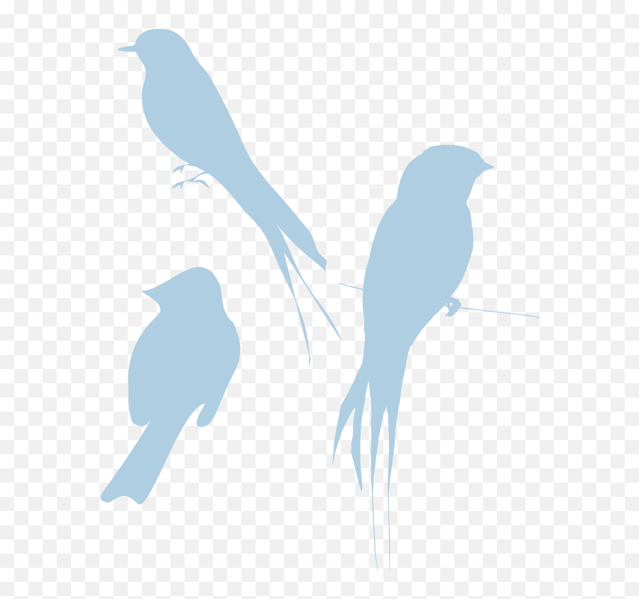 Doctor Clipart Bird Doctor Bird Transparent Free For - Bird Silhouette Emoji,Blue Bird Emoji