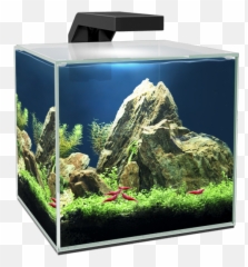 Pet Supplies Aquariums U0026 Accessories Ciano Fish Tank Emoji,Emotion Accessories