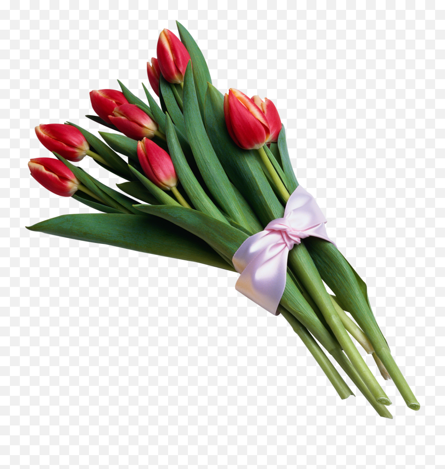 Clipart - Bouquet Of Tulips Transparent Background Emoji,Bouquet Of Flowers Emoji