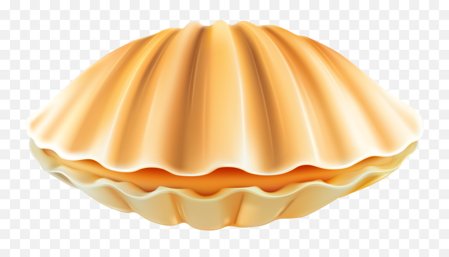 Clam Shell Png U0026 Free Clam Shellpng Transparent Images Emoji,Seashell Emoji