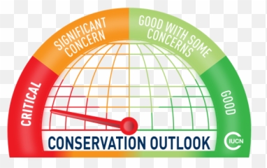 Islands And Protected Areas Of The Gulf - True Friends Emoji,9 Emotions Leonardocaprio