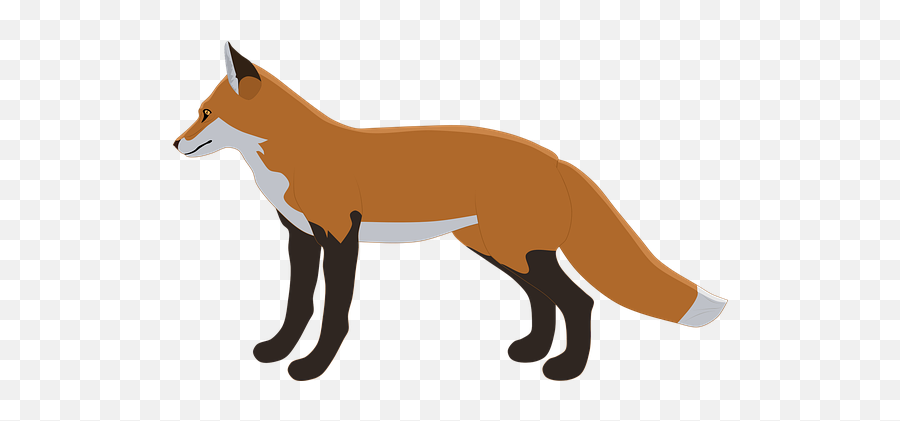 400 Free Fox U0026 Animal Illustrations - Pixabay Fox Graphic Emoji,Fox And Hare Emoji
