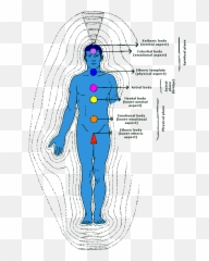Guest Blog The Energy Of Words Part 3 U2013 Coach Carly - Standing Emoji,Emotions Energy Human Body Pics
