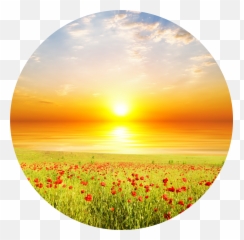 Emotional Resolution With Cedric Bertelli Emoji,Emotion Sunset Looking