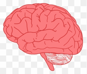 Mind Clipart Muscle - Brain Clipart Transparent Cartoon Brain Clip Art Emoji,Brain Exploding Emoji