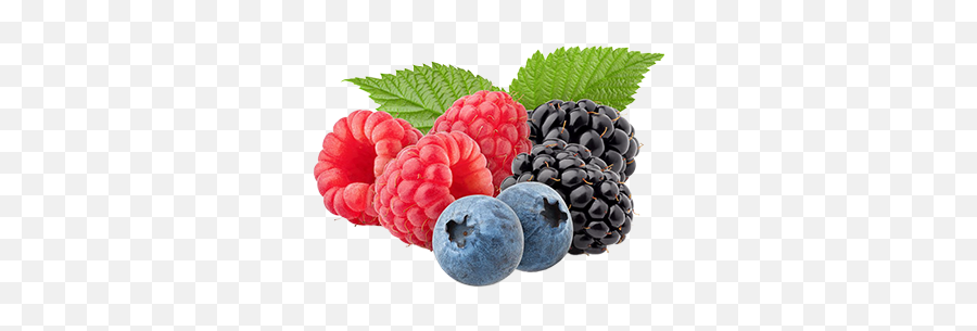 Fresh Organic Fruits From Authentic Farm Of The World Berrika Emoji,Daily Emotion Blueberry