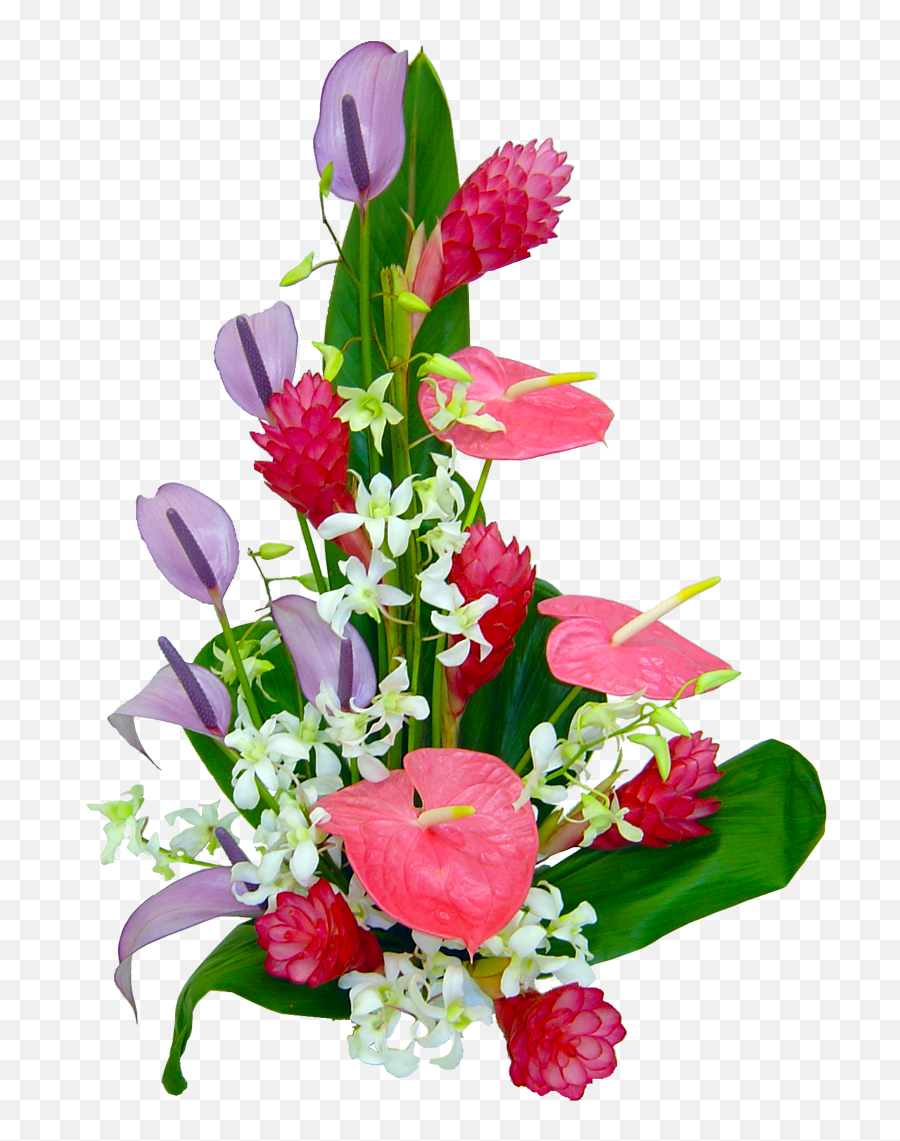 Lahaina Orchid Tropical Hawaiian Flowers Hawaiian - Flower Bouquet Orchid Png Emoji,Orchid Emoji