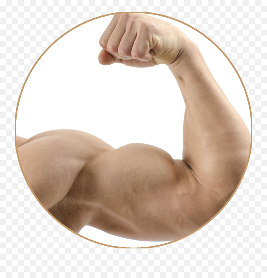 Download Emoji Muscle Png Image With No - Transparent Arm Muscle Png,Bodybuilder Emoji