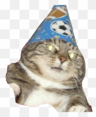 The Most Edited - Whoosh Cat Emoji,Woosh Emoji