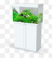 Emotions Nature Pro 80 - Emotion Nature Pro 80 Bianco Emoji,Produtos Bio Emotion