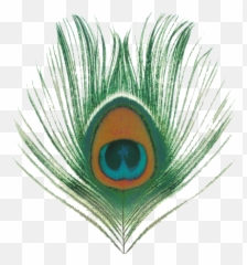 Free Peacock Transparent Download Free Clip Art Free Clip - Apple Venus Volume 1 Emoji,Peacock Emoticon Iphone