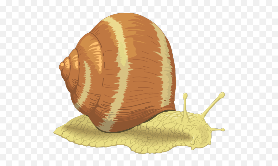 0 Images About Bugs Snails - Caracol De Agua Dulce Animados Emoji,Snails Emoticon