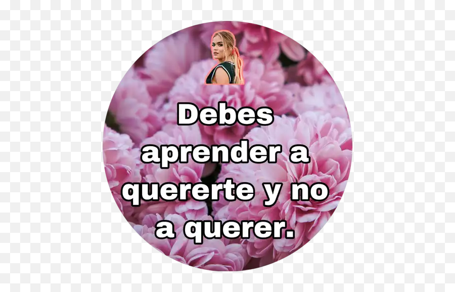 Frases De Karol G Stickers Para Whatsapp - Frases Karol G 2020 Emoji,Imagenes De Emojis Con Con Frases De Para Whatsapp