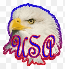 Glitter Gif Animation Glitter Graphics - Bald Eagle Emoji,Eagles Gif Emoticon