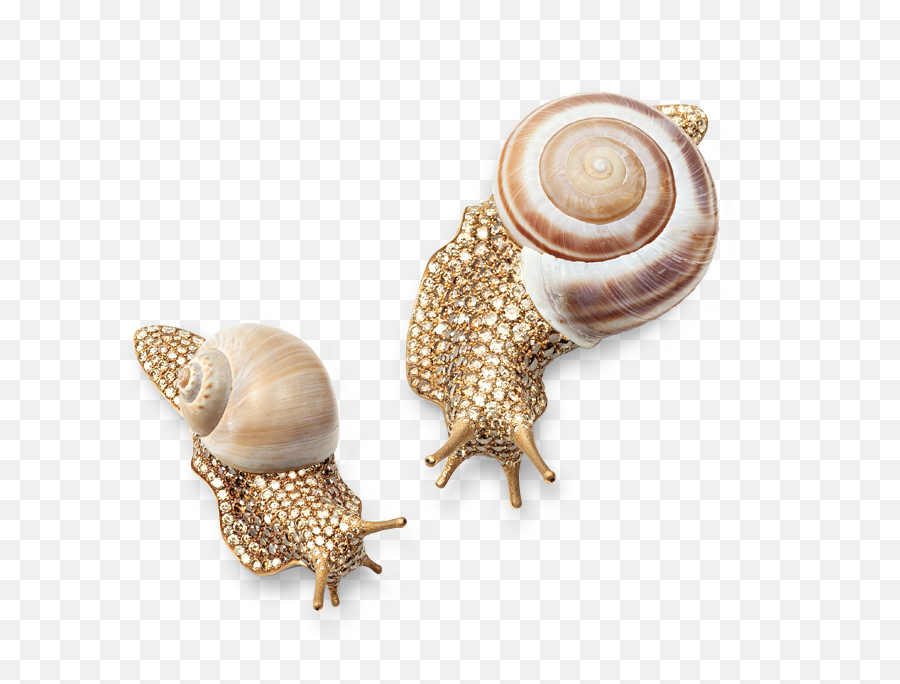 270 Fauna Slugs Snails Ideas In 2021 Slugs Snail Fauna - Snail Jewellery Emoji,Can Custom Emoticons Be Used In Escargot