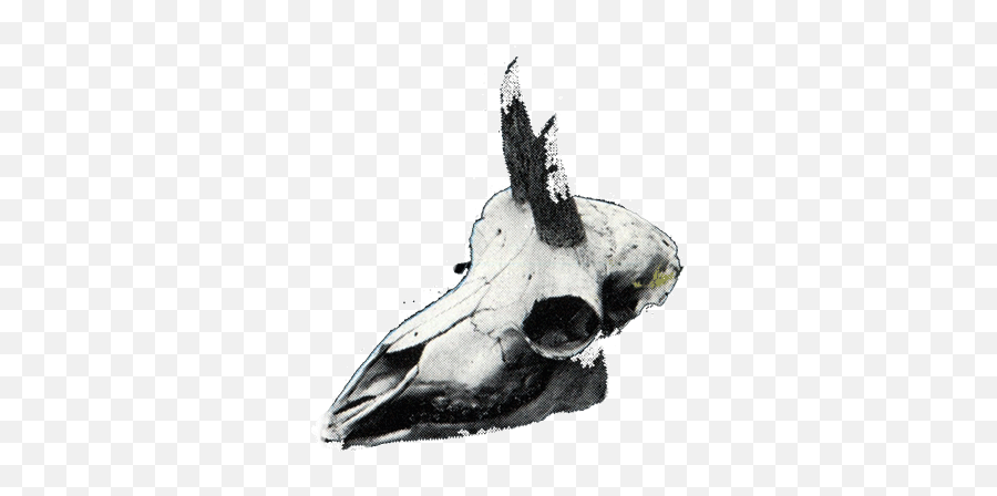 Top Skulls Stickers For Android U0026 Ios Gfycat - Animal Skull Pixel Art Gif Emoji,Dead Skull Emoji