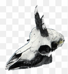 Top Skulls Stickers For Android U0026 Ios Gfycat - Animal Skull Pixel Art Gif Emoji,Dead Skull Emoji