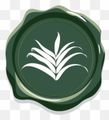 Conscious Beauty - Hemp Emoji,Emotion Empreendorismo Consciente