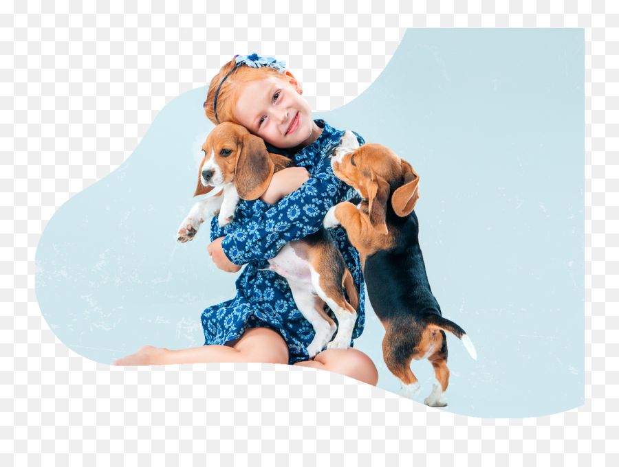 Transporting Pets From Sri Lanka To Usa - Background Emoji,Beagle Puppy Emotions