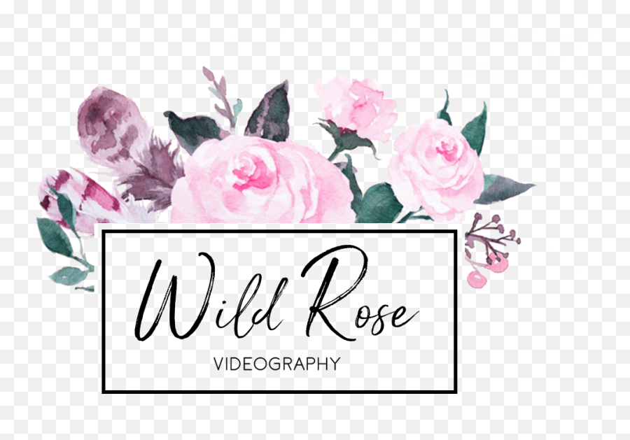 Wild Rose Videography Emoji,Roses Are Senstive To Emotion