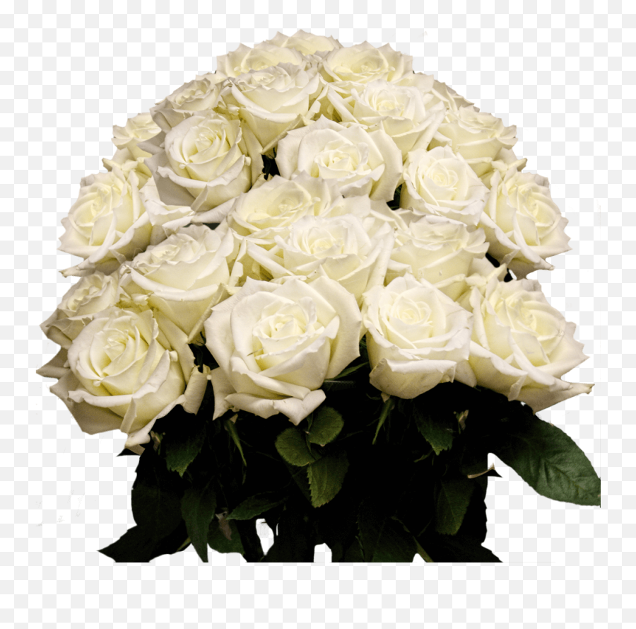 3 Dozen White Roses With Babyu0027s Breath And Green - Fresh Emoji,White Rose Emoji