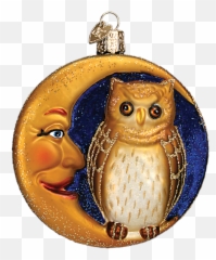 Owl In Moon Halloween Glass Ornament 3 34 Emoji,Old Moon Emoji