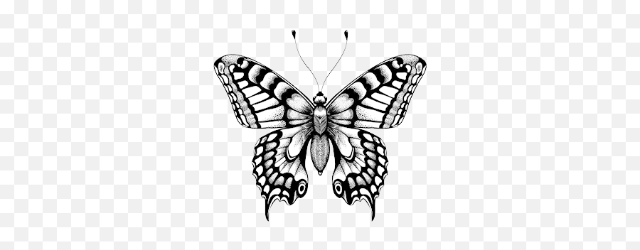 Butterfly Clipart Black And White - Designbust Butterfly Tattoo Emoji,Butterfly Emoji Transparent