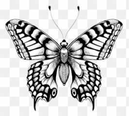 Butterfly Clipart Black And White - Designbust Butterfly Tattoo Emoji,Butterfly Emoji Transparent