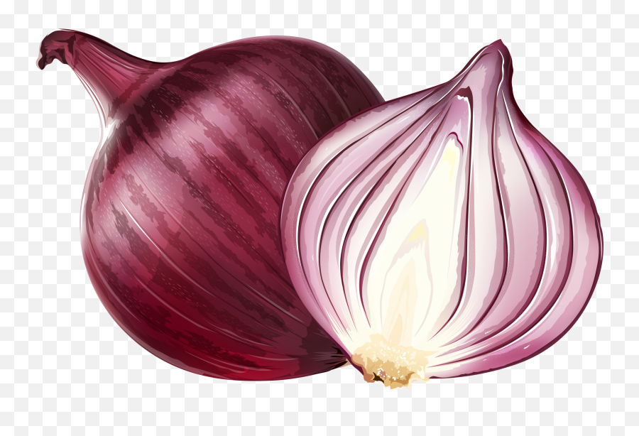 Onion Clipart Half Onion Onion Half - Onion Png Emoji,Onions Emoji