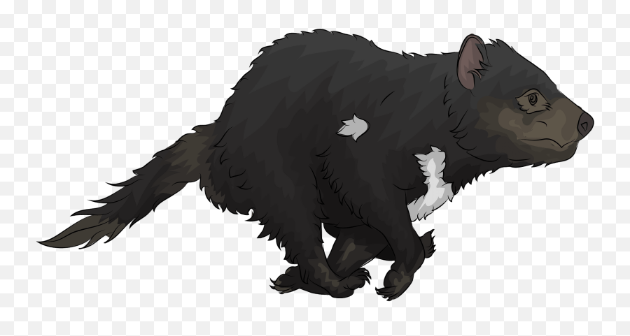 Tasmanian Devil Clipart - Transparent Tasmanian Devil Clipart Emoji,Opossum Emoji