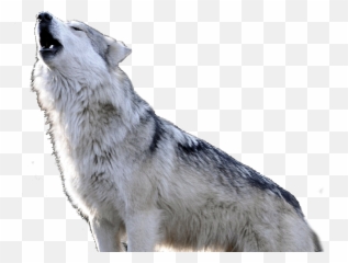 Healing With Spirits - Northern Breed Group Emoji,Images Of Clogged Emotions