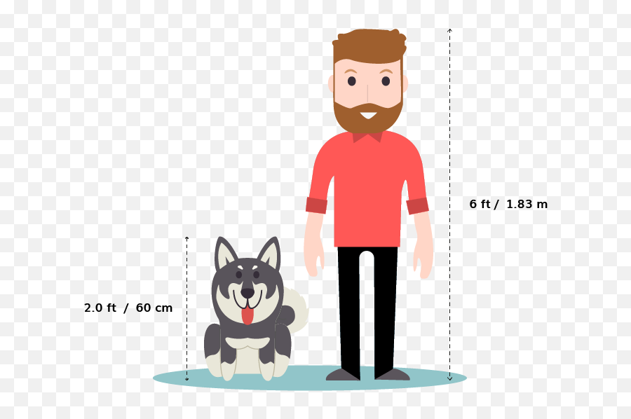 Siberian Husky Vs German - Akita Dog Size Comparison Emoji,Husky Stages Of Emotion