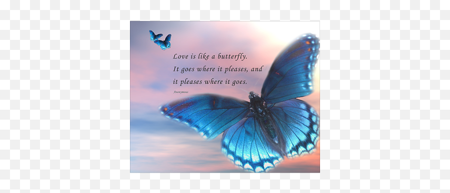 Butterfly Poems - Butterfly Poster Quote Emoji,Rumi Quotes About Emotion