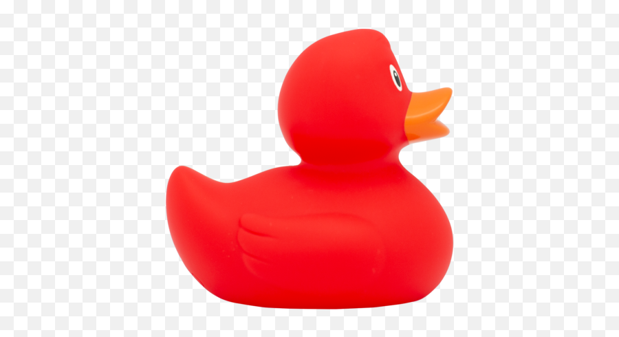 White Rubber Duck - Rome Duck Store Duck Red Emoji,Rubber Duck Emojis