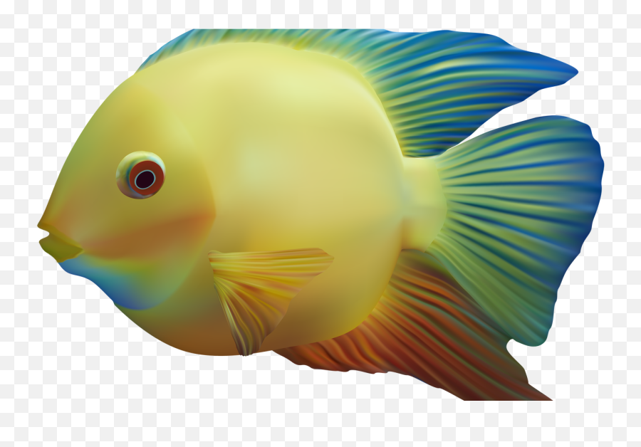 Download Exotic Fish Png Clipart Best Web Clipart - Fish Emoji,Emojis Png Ocean