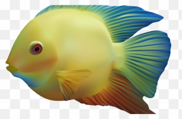 Download Exotic Fish Png Clipart Best Web Clipart - Fish Emoji,Emojis Png Ocean