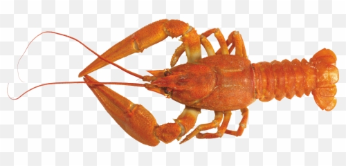 Lobster Png Images Emoji,Lobster Emojii