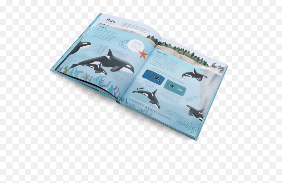 The World Of Whales - Darcy Dobell Emoji,Orcas Emotions