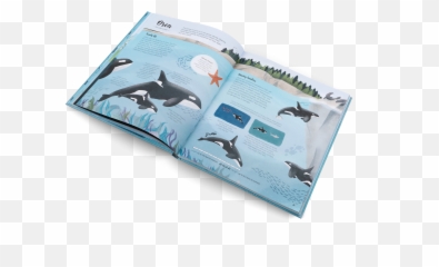 The World Of Whales - Darcy Dobell Emoji,Orcas Emotions