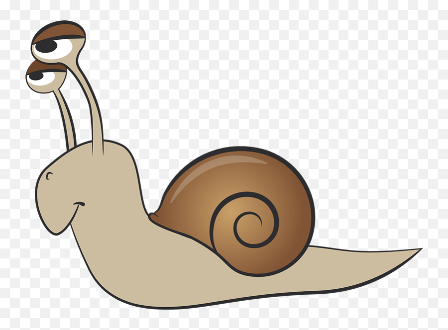 0 Images About Bugs Snails - Snail Png Cartoon Emoji,Snails Emoticon