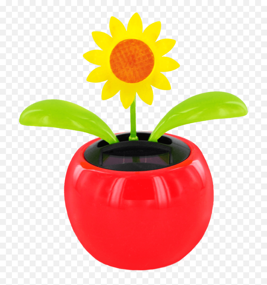 Solar - Powered Dancing Flowers Ladybird Green Solar Powered Flowers Emoji,How To Make Flower Emoticon On Facebook