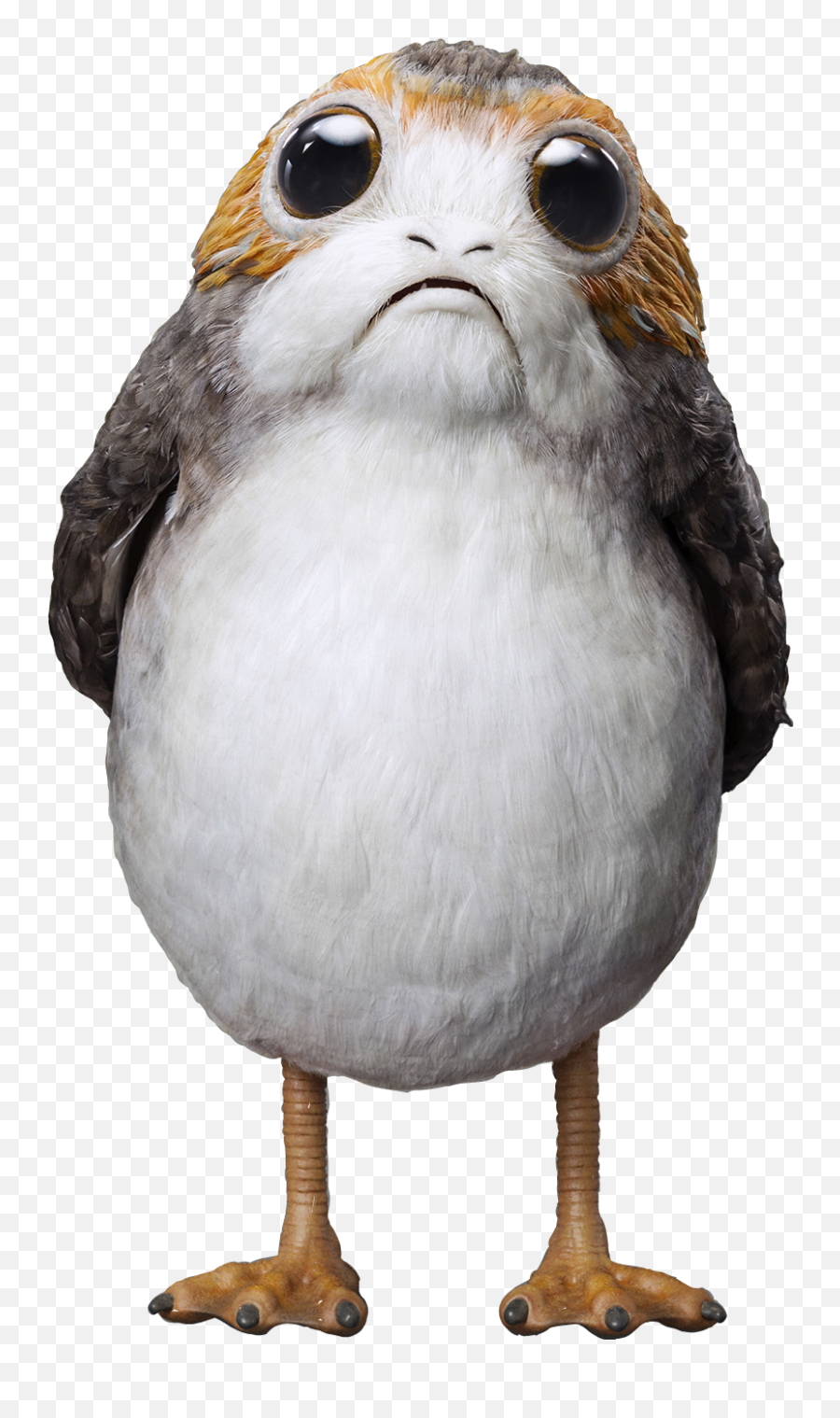 Porg Starwars Porgwars Porgs Sticker - Puffin From Star Wars Emoji,Porg Emoji