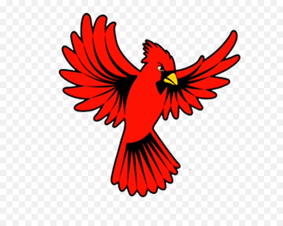Cardinal - Cardinal Wings Open Clipart Png Download Full Cardinal Wings Open Wings Emoji,Cardinal Bird Facebook Emoticon