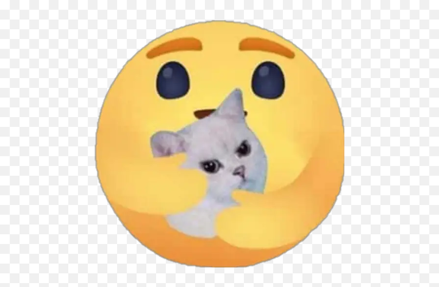 Sticker Maker - Me Importa 2 Emoji,Cat Emoticon Sticker