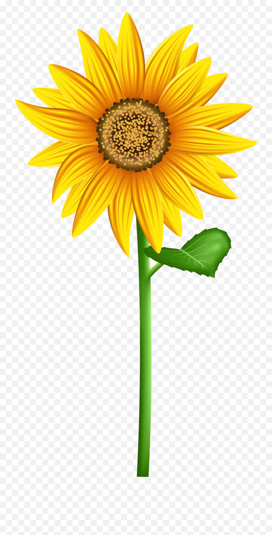 Free Sunflower School Cliparts - Clipart Sunflower Png Transparent Emoji,Sun Flower Emoji