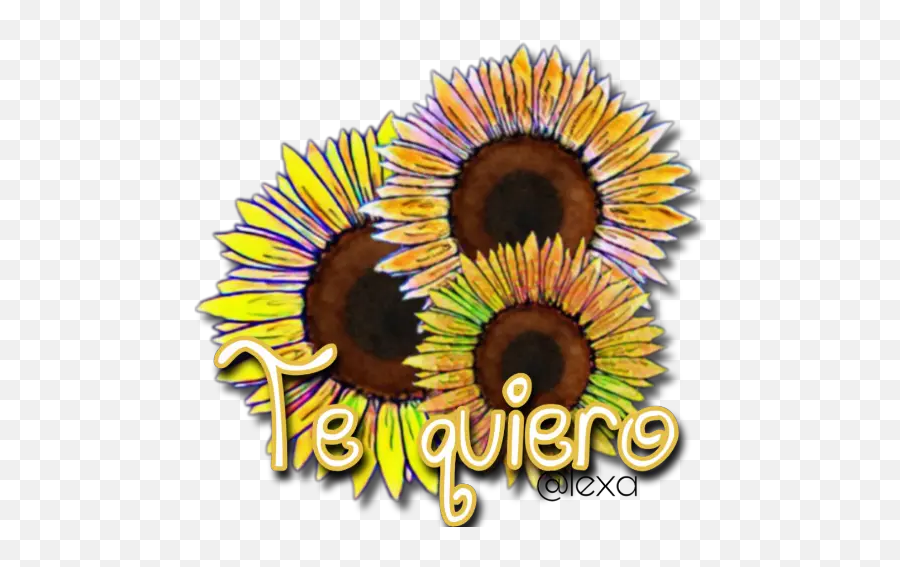 Girasoles Stickers Para Whatsapp Emoji,Emoji Dando Una Flor