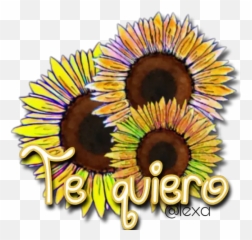 Girasoles Stickers Para Whatsapp Emoji,Emoji Dando Una Flor