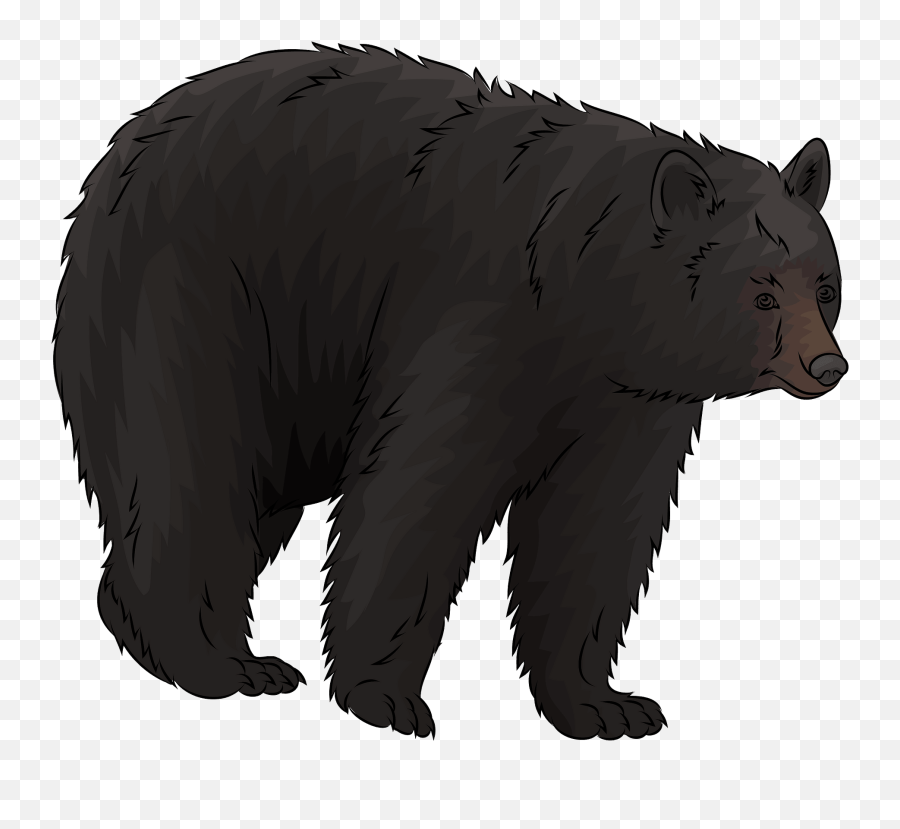 American Black Bear Clipart - Black Bear Clipart Png Emoji,Bear Black And White Emoji
