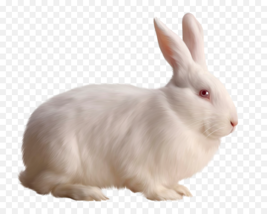 Download Bunny Free Png Transparent Image And Clipart - Rabbit Png Emoji,Bunny Emoji Png